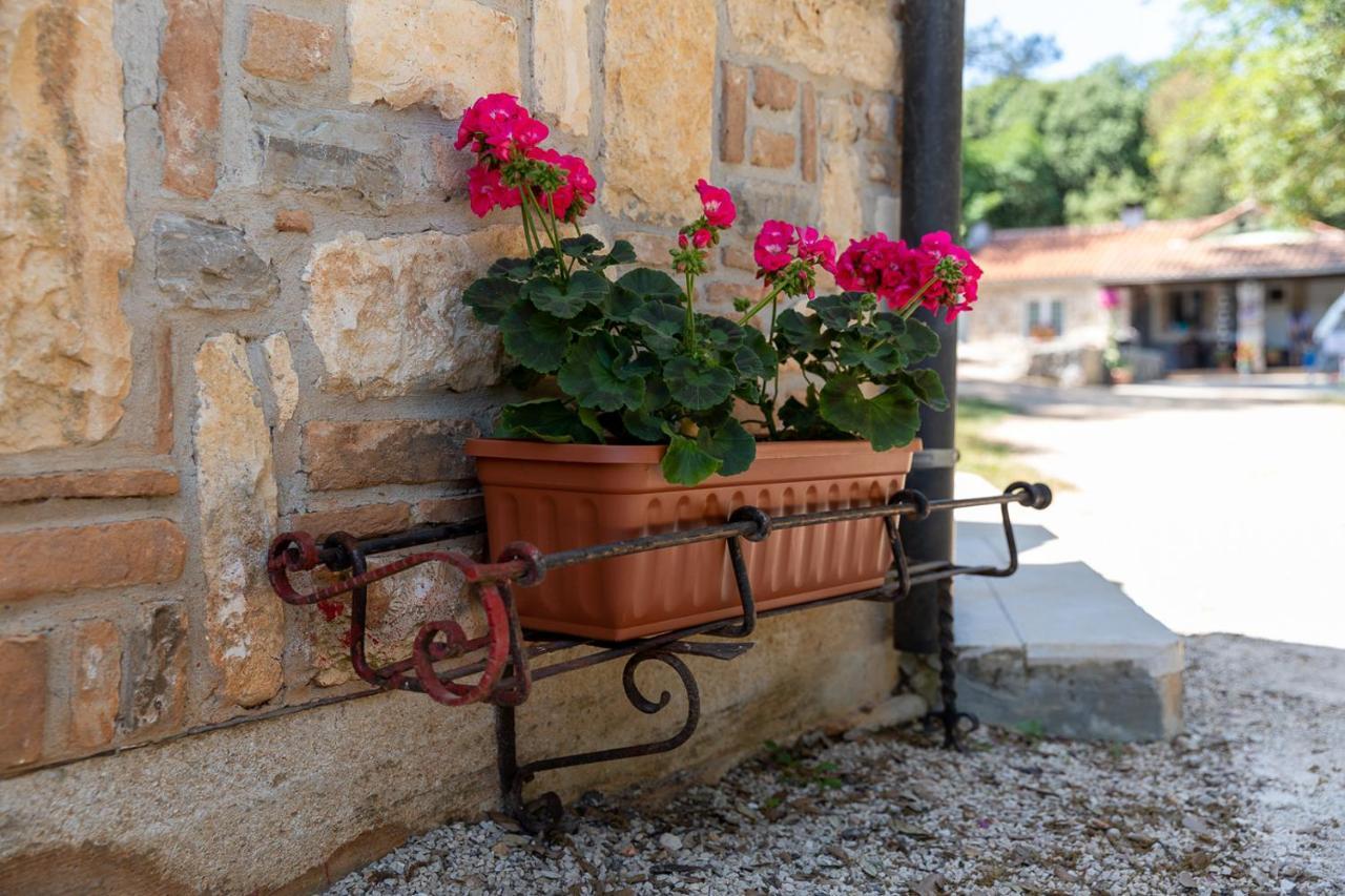 Holiday House Hana Rovinj Exterior photo