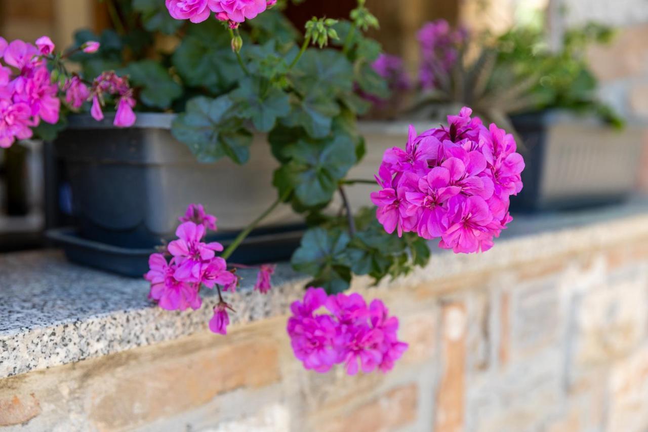 Holiday House Hana Rovinj Exterior photo